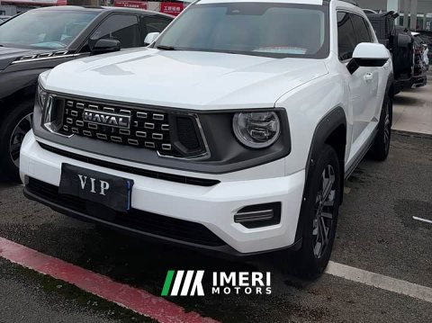 2024 Haval Big Dog PLUS 2.0T Two-Wheel Drive Trendy Wilderness Edition Plus - ავტომობილი ჩინეთიდან