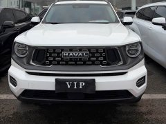 Haval Big Dog PLUS 2.0T Two-Wheel Drive Trendy Wilderness Edition Plus - ფოტო 2