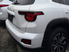Haval Big Dog PLUS 2.0T Two-Wheel Drive Trendy Wilderness Edition Plus - ფოტო 7
