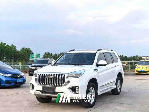 2022 Haval H9 2.0T Gasoline 4WD Premium 5-Seater - ავტომობილი ჩინეთიდან