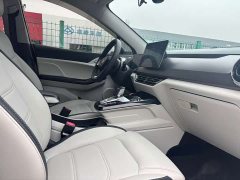 BYD Yuan Pro 401KM Luxury - ფოტო 3