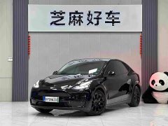 Tesla Model Y Rear-Wheel Drive - photo 1