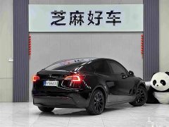Tesla Model Y Rear-Wheel Drive - photo 6