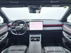 Lynk & Co 08 EM-P 160 Extended Range Ultra - ფოტო 8