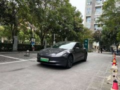 Tesla Model 3 Rear-Wheel Drive - ფოტო 1