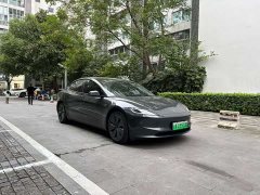 Tesla Model 3 Rear-Wheel Drive - ფოტო 3
