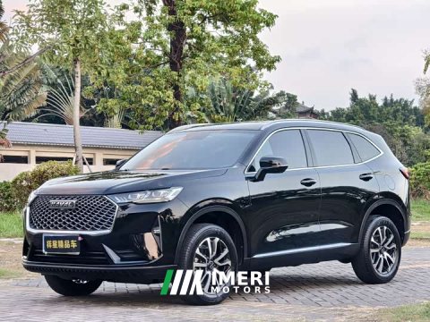2023 Haval H6 Third Generation 1.5T Automatic Two-Wheel Drive Pro - ავტომობილი ჩინეთიდან