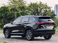 Haval H6 Third Generation 1.5T Automatic Two-Wheel Drive Pro - ფოტო 14
