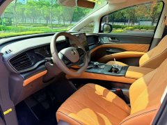 Denza D9 DM-i 970 AWD Flagship - ფოტო 4
