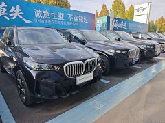 BMW X5 xDrive 40Li M Sport Midnight Edition Package - ფოტო 13