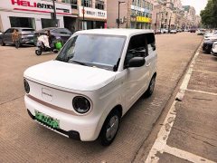 Geely Panda Mini 200km Endurance Edition - photo 1