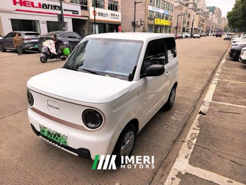 2024 Geely Panda Mini 200km Endurance Edition - ავტომობილი ჩინეთიდან