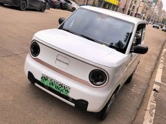 Geely Panda Mini 200km Endurance Edition - photo 2