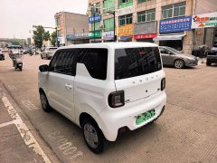 Geely Panda Mini 200km Endurance Edition - photo 3