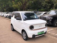 Geely Panda Mini 200km Endurance Edition - photo 4