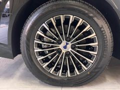 Denza D9 DM-i 980 Four-Wheel Drive Premium - ფოტო 12
