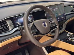 Denza D9 DM-i 980 Four-Wheel Drive Premium - ფოტო 13
