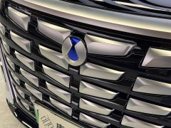 Denza D9 DM-i 980 Four-Wheel Drive Premium - ფოტო 6