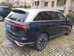 Great Wall WEY Blue Mountain Four-Wheel Drive Extended Range Version - ფოტო 3