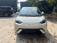 BYD Seagull Glory Edition 305km Freedom Version - ფოტო 1