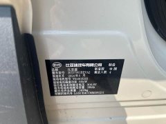 BYD Seagull Glory Edition 305km Freedom Version - ფოტო 10
