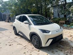 BYD Seagull Glory Edition 305km Freedom Version - ფოტო 2