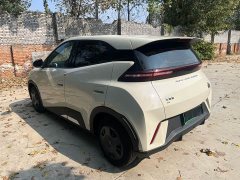 BYD Seagull Glory Edition 305km Freedom Version - ფოტო 7
