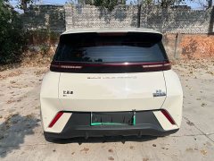 BYD Seagull Glory Edition 305km Freedom Version - ფოტო 8
