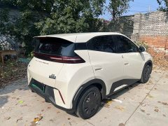 BYD Seagull Glory Edition 305km Freedom Version - ფოტო 9