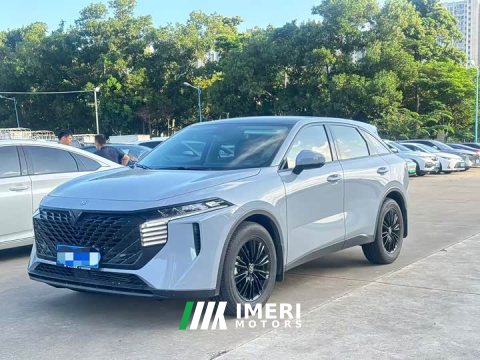 2023 Nissan Qichen Dà V 260T Idol Edition Pro - ავტომობილი ჩინეთიდან