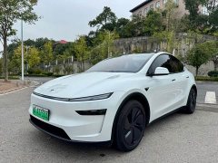 Tesla Model Y Long Range Rear-Wheel Drive - ფოტო 1