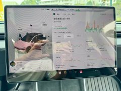 Tesla Model Y Long Range Rear-Wheel Drive - ფოტო 13