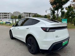 Tesla Model Y Long Range Rear-Wheel Drive - ფოტო 14