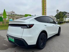 Tesla Model Y Long Range Rear-Wheel Drive - ფოტო 16