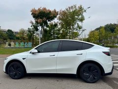 Tesla Model Y Long Range Rear-Wheel Drive - ფოტო 17