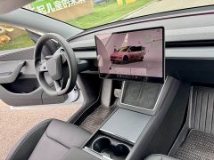 Tesla Model Y Long Range Rear-Wheel Drive - ფოტო 8