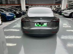 Tesla Model 3 Standard Range RWD Upgrade - ფოტო 13
