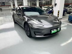 Tesla Model 3 Standard Range RWD Upgrade - ფოტო 3