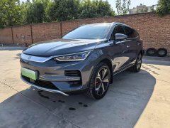 BYD Tang EV Champion Edition 600KM Luxury Edition - ფოტო 2