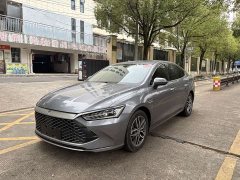 BYD Qin Plus DM-i 55KM Flagship - ფოტო 1