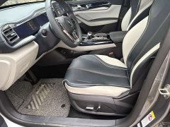 BYD Qin Plus DM-i 55KM Flagship - ფოტო 8