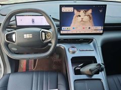 Geely Galaxy E5 440km Explorer Edition - ფოტო 4