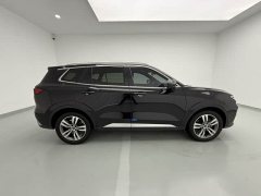 Ford Lingrui EcoBoost 170 Platinum Edition - ფოტო 10