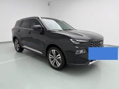 Ford Lingrui EcoBoost 170 Platinum Edition - ფოტო 3