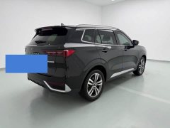 Ford Lingrui EcoBoost 170 Platinum Edition - ფოტო 6