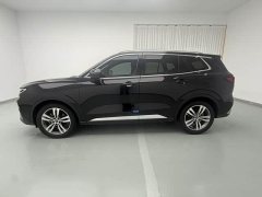 Ford Lingrui EcoBoost 170 Platinum Edition - ფოტო 7