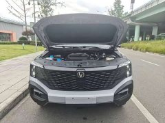 Changan Edition Flagship Version Dual MotorAWD - ფოტო 4