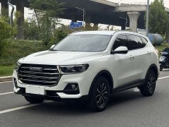 Haval H6 National Trend Edition 1.5T Automatic Urban Version - ფოტო 1