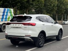 Haval H6 National Trend Edition 1.5T Automatic Urban Version - ფოტო 11