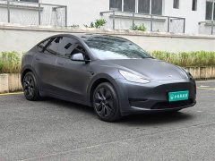 Tesla Model Y Rear-Wheel Drive - ფოტო 11